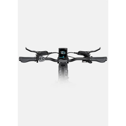 ENGWE L20 3.0 Pro E-Bike Mittelmotor 100Nm Vollfederung 720Wh Klapprad Schwarz