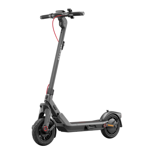 Segway Ninebot E3 Pro D E-Scooter 400W 368Wh Straßenzulassung 20km/h
